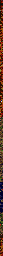 Thumbnail for a map of Stage 5: Forest Of Dead! for the Arcade game Kingdom Grandprix.