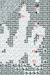 Thumbnail for a map of Naga's Path (Solution) for the Game Boy game Gargoyles Quest: Ghosts 'N Goblins.