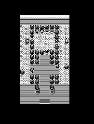 Thumbnail for a map of Celadon City Gym (Unmarked) for the Game Boy game Pokemon: Red, Green & Blue Versions.