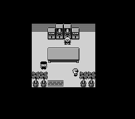 Thumbnail for a map of Celadon City House (2) for the Game Boy game Pokemon: Red, Green & Blue Versions.
