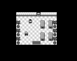 Thumbnail for a map of Route 2 House (1) for the Game Boy game Pokemon: Red, Green & Blue Versions.