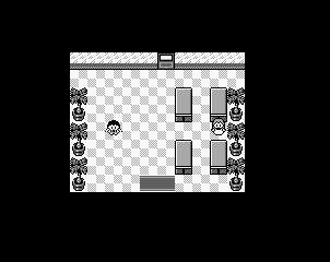 Thumbnail for a map of Route 2 House (3) for the Game Boy game Pokemon: Red, Green & Blue Versions.