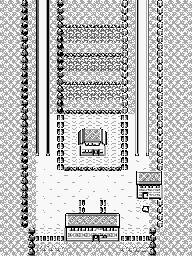 Thumbnail for a map of Route 5 (Unmarked) for the Game Boy game Pokemon: Red, Green & Blue Versions.