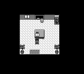 Thumbnail for a map of Viridian City Schoolhouse for the Game Boy game Pokemon: Red, Green & Blue Versions.