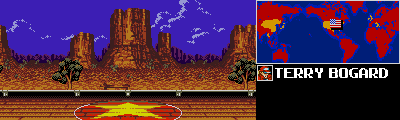 Thumbnail for a map of USA (Terry Bogard) for the Game Gear game Fatal Fury Special.