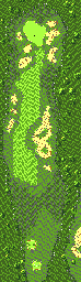Thumbnail for a map of Hurricane Bay Hole 5 for the Game Gear game Fred Couples Golf.