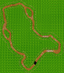Thumbnail for a map of Terra Tiny's Temple for the GBA game Crash Nitro Kart.