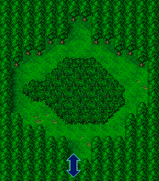 Thumbnail for a map of Chocobo Forest for the GBA game Final Fantasy IV Advance.