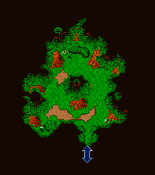 Thumbnail for a map of Black Chocobo Forest for the GBA game Final Fantasy V Advance.