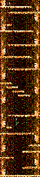 Thumbnail for a map of Going Down The Tree for the Master System game Chuck Rock II: Son Of Chuck.