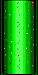 Thumbnail for a map of Bonus Stage 1 for the Master System game Cool Spot.