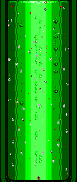 Thumbnail for a map of Bonus Stage 3 for the Master System game Cool Spot.