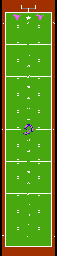 Thumbnail for a map of Playoffs for the NES game 10-Yard Fight.