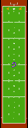 Thumbnail for a map of Super Bowl for the NES game 10-Yard Fight.