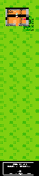 Thumbnail for a map of Main World House Of The Wizard Of Greenlad for the NES game Dragon Warrior III.