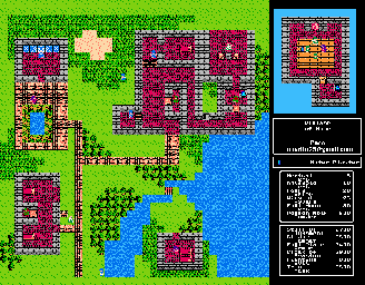 Thumbnail for a map of Main World Village Of Muor for the NES game Dragon Warrior III.