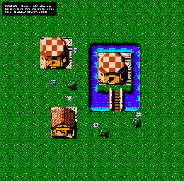 Thumbnail for a map of Town Of Riria for the NES game Faria: A World Of Mystery & Danger!.