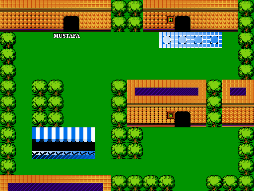 Thumbnail for a map of Chapter 3: Forest World Samalkand Town Of Passora for the NES game The Magic Of Scheherazade.