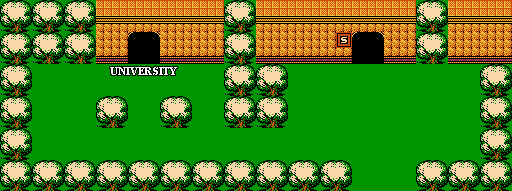 Thumbnail for a map of Chapter 4: Flower World Celestern Town Of Pao for the NES game The Magic Of Scheherazade.