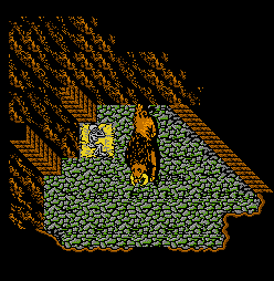 Thumbnail for a map of Giant Boar's Lair for the NES game Robin Hood: Prince Of Thieves.