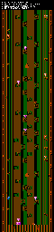 Thumbnail for a map of Forest 2 Red Door Tree for the NES game Wizards & Warriors.