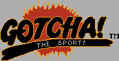 Title screen for the NES game Gotcha!: The Sport!.