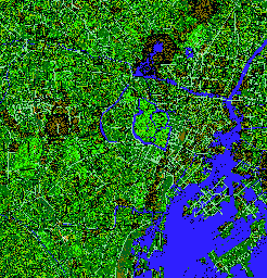 Thumbnail for a map of Tokyo for the PC game Giten Megami Tensei: Tokyo Mokushiroku.