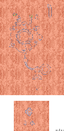 Thumbnail for a map of Citadel (In-Game Map) for the PC game Lands Of Lore: Guardians Of Destiny.