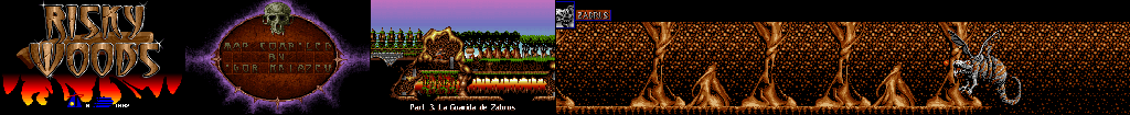 Thumbnail for a map of Part 3: La Guarida de Zabrus for the PC game Risky Woods.