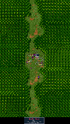 Thumbnail for a map of Grim Fowl Forest for the SNES game Breath Of Fire.