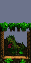 Thumbnail for a map of Debug Room Empty Jungle Room for the SNES game Donkey Kong Country.