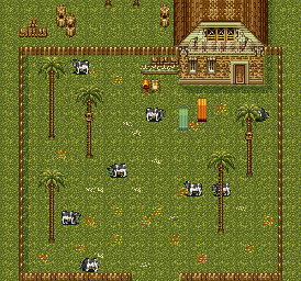 Thumbnail for a map of Australia Cattle Ranch for the SNES game Terranigma.