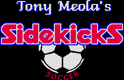 Title screen for the SNES game Tony Meola's Sidekicks Soccer.